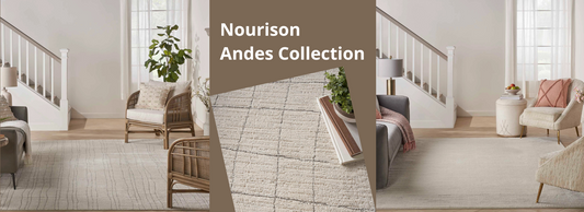 Nourison Andes Collection Rugs