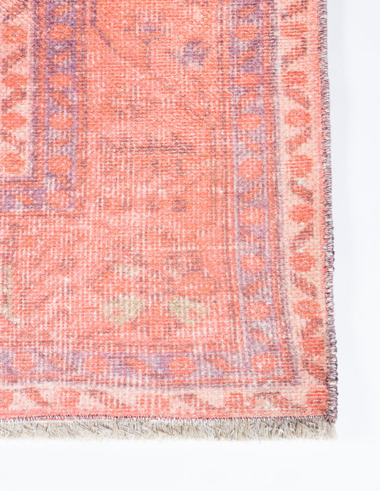Momeni Chandler Coral Traditional