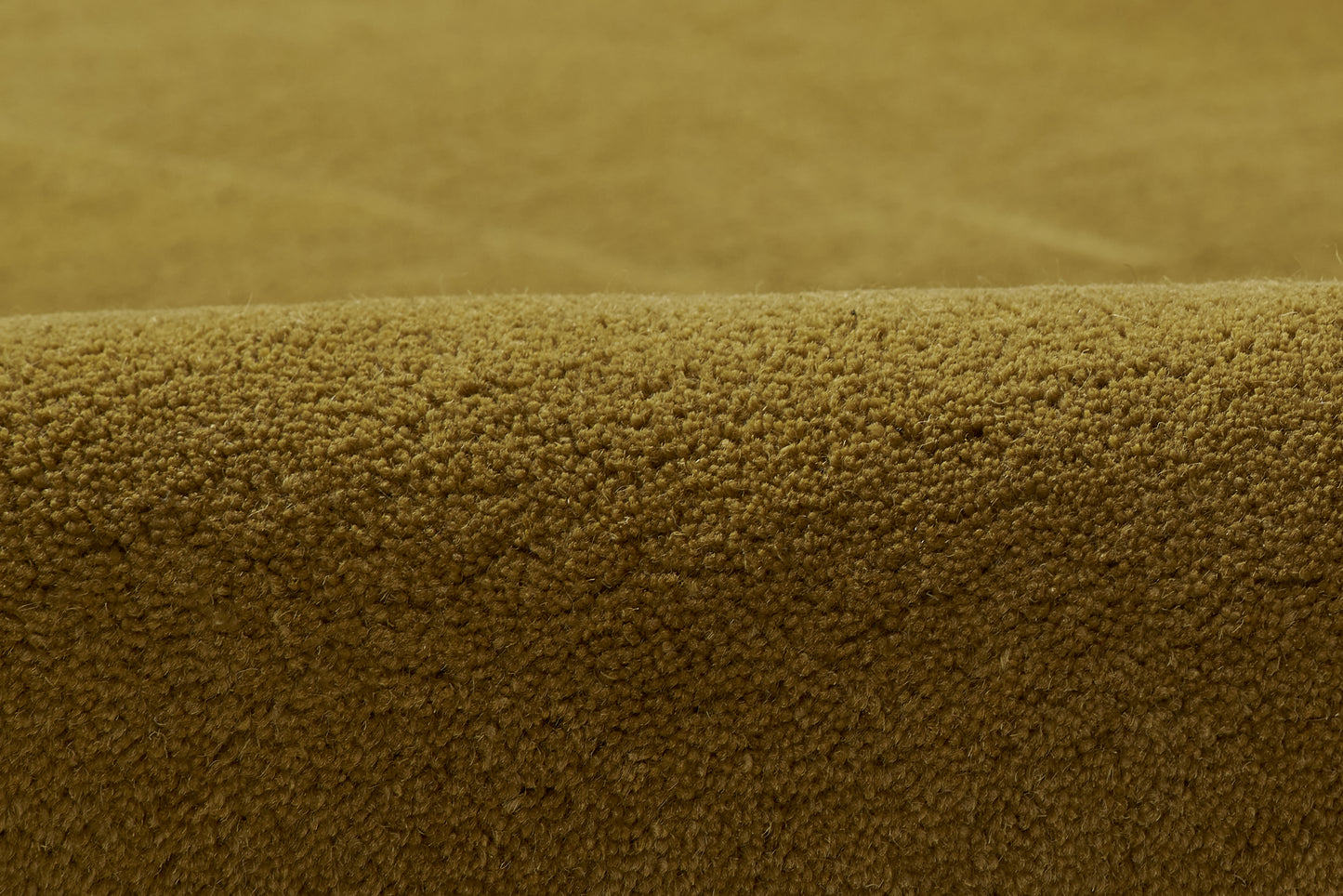 Momeni Claude Tumeric Contemporary