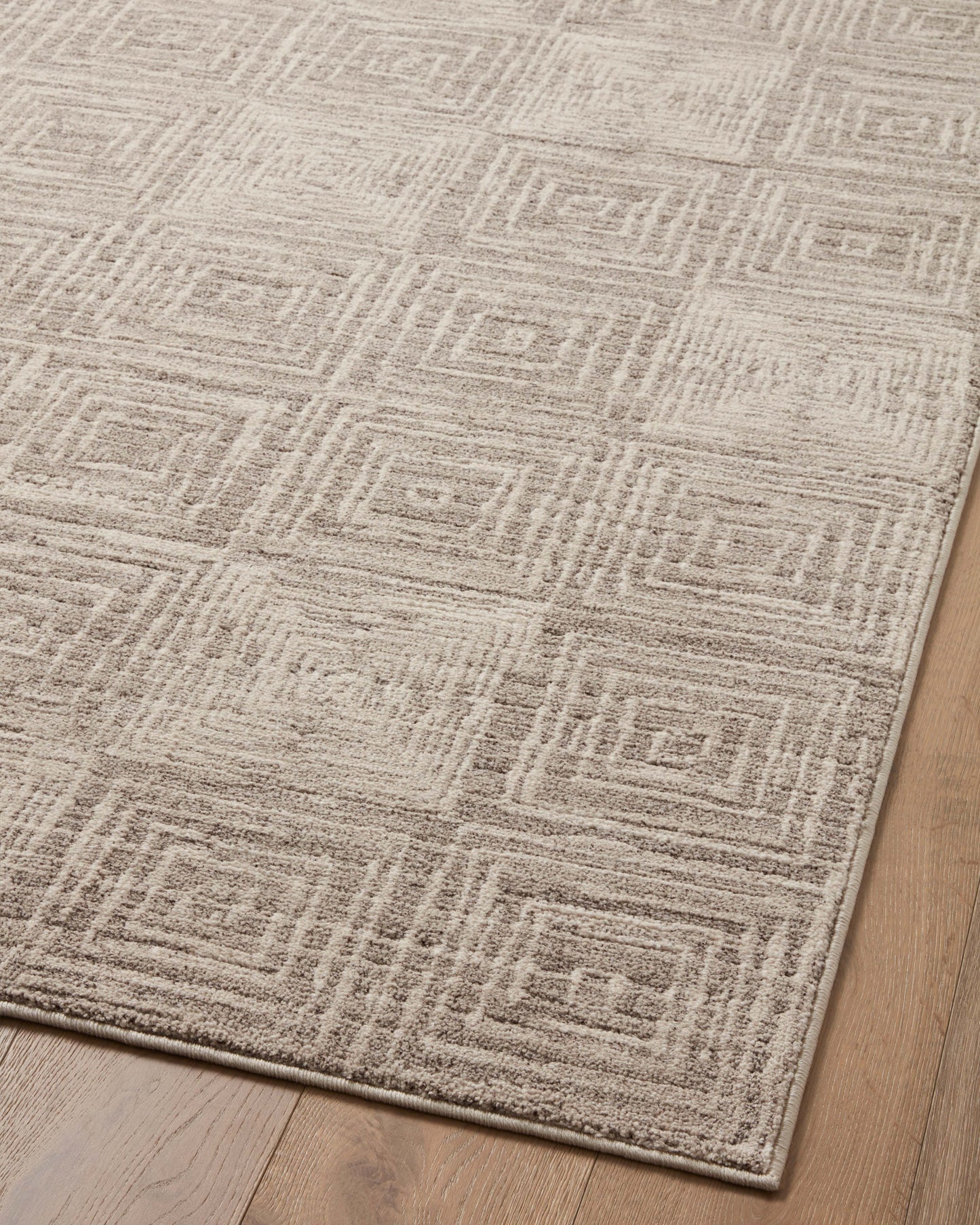 Loloi Darby Beige Grey Transitional