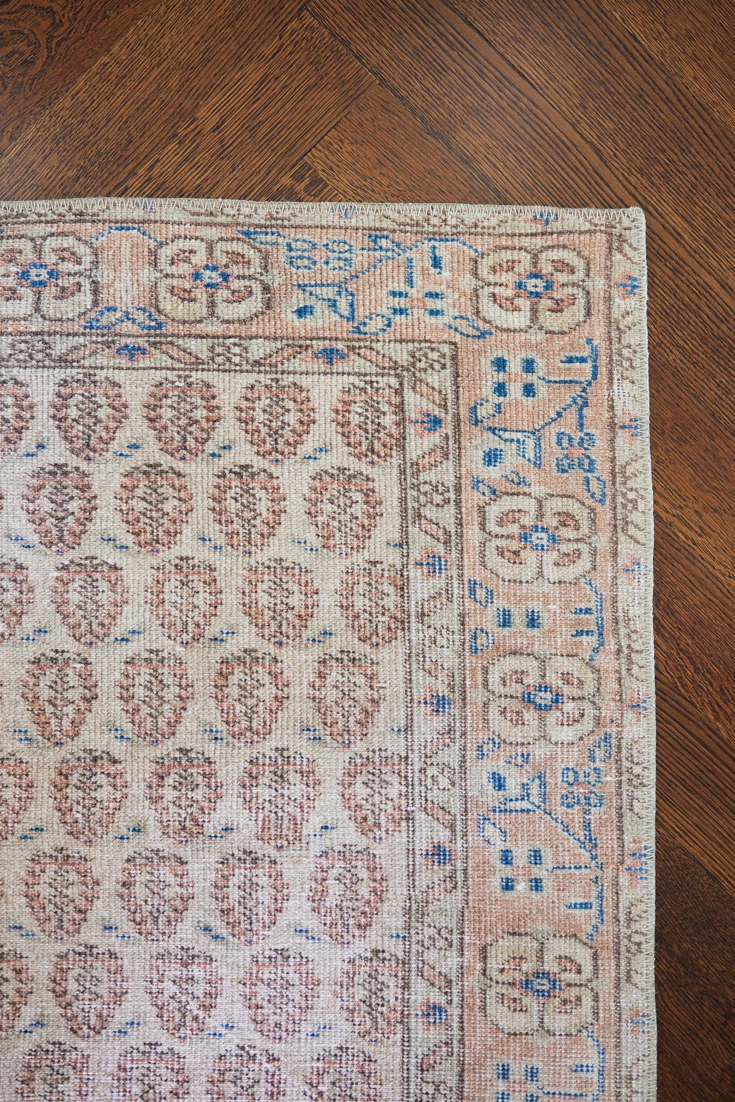 Erin Gates Dorset Blush Traditional