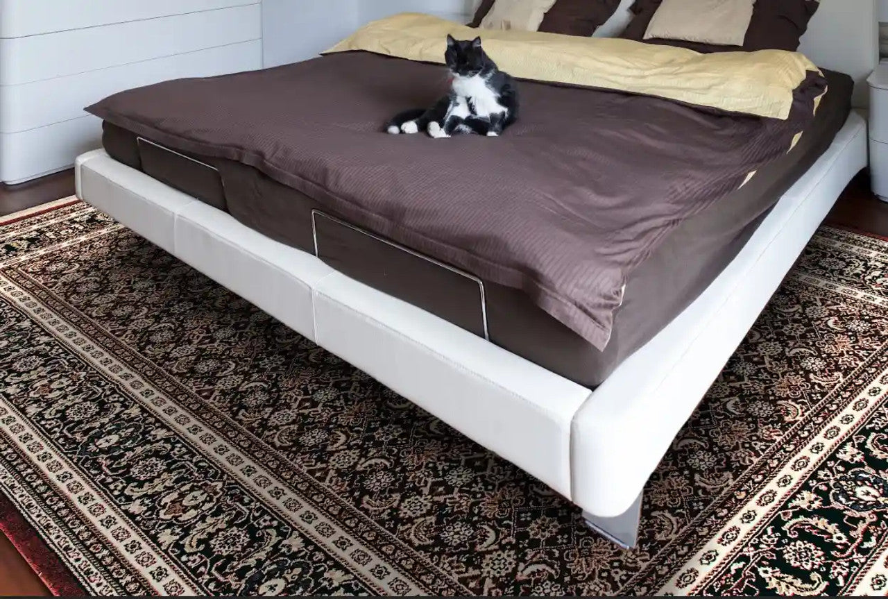 Dynamic Rugs Brilliant 72240 Red Traditional Machine-Made Rug