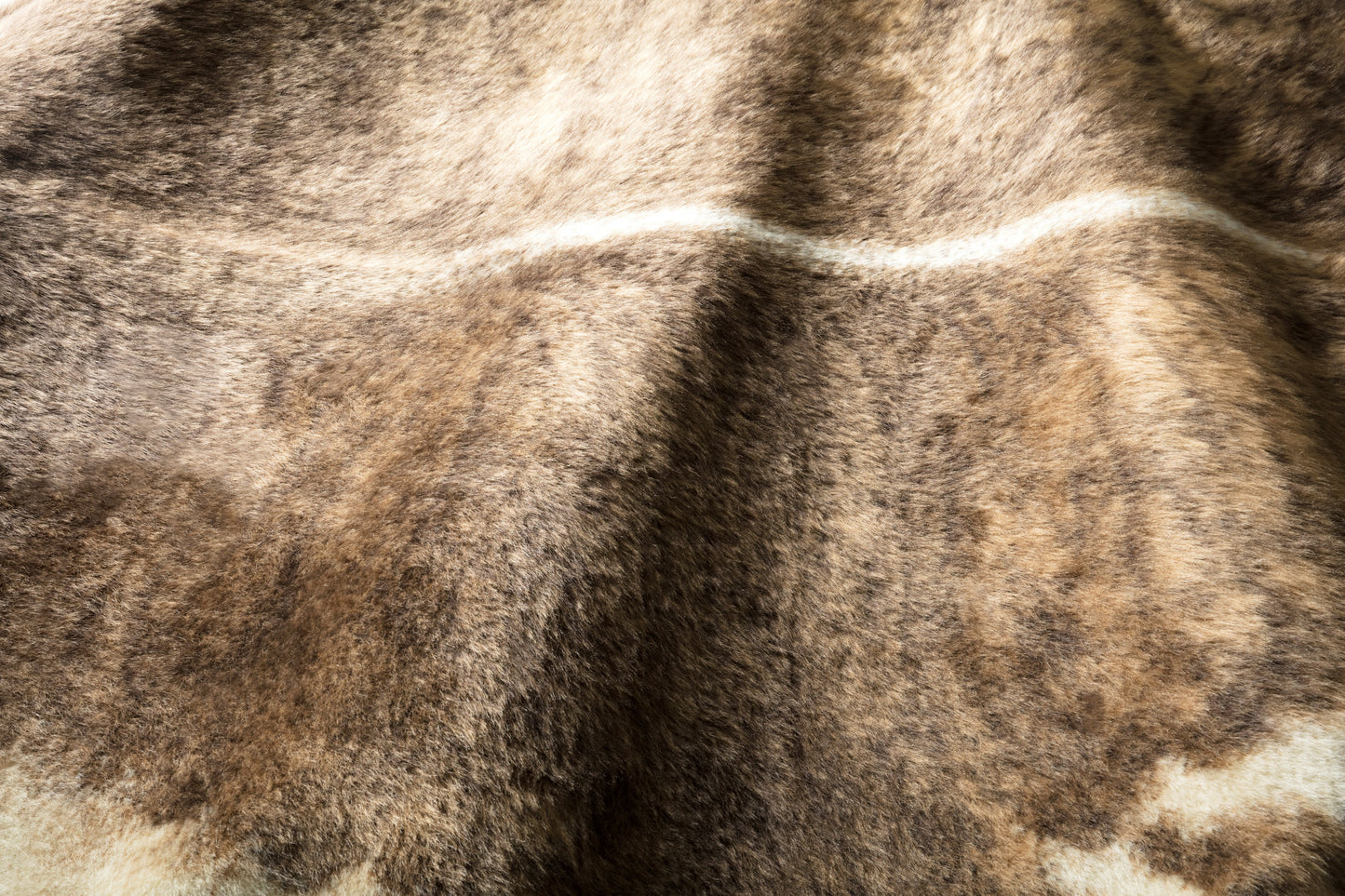 Loloi Grand Canyon Camel Beige Transitional