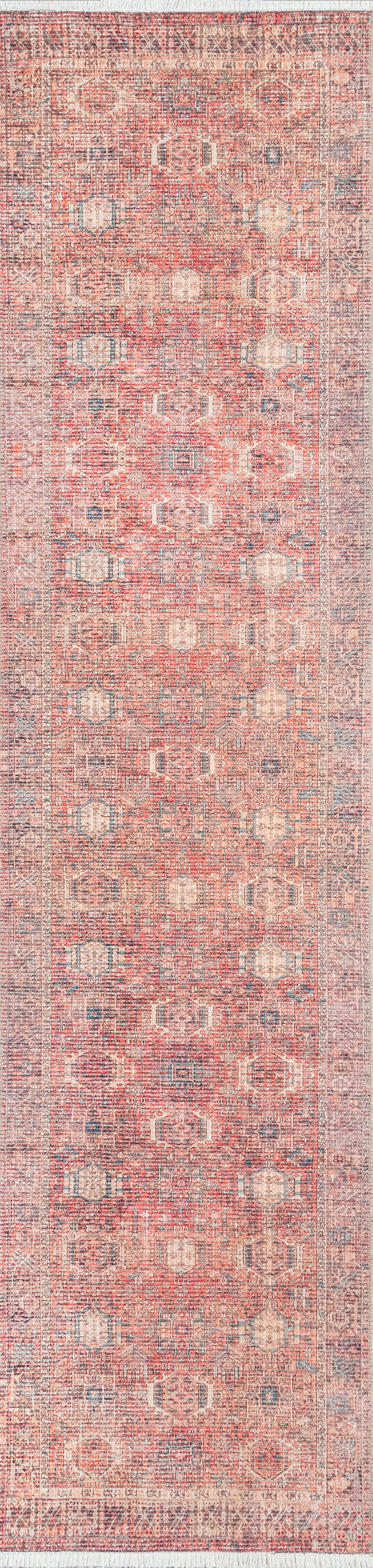 Momeni Helena Multi Traditional