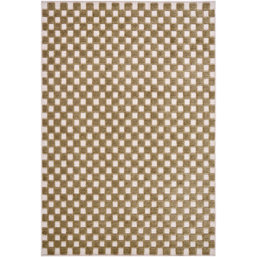 Surya Lyna LYA-2343 Beige Modern Rug