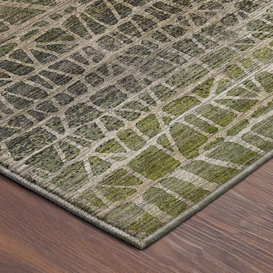 Dalyn Rugs Nexus Fern Transitional