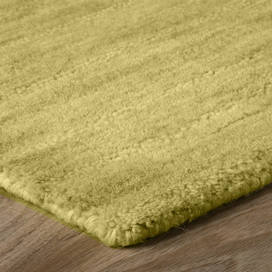Dalyn Rugs Rafia Kiwi Transitional