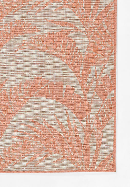 Momeni Riviera Coral Transitional