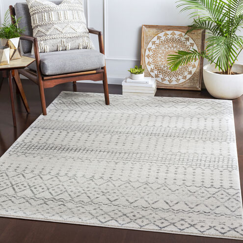 Surya Harput HAP-1097 Charcoal Global Machine Woven Rug