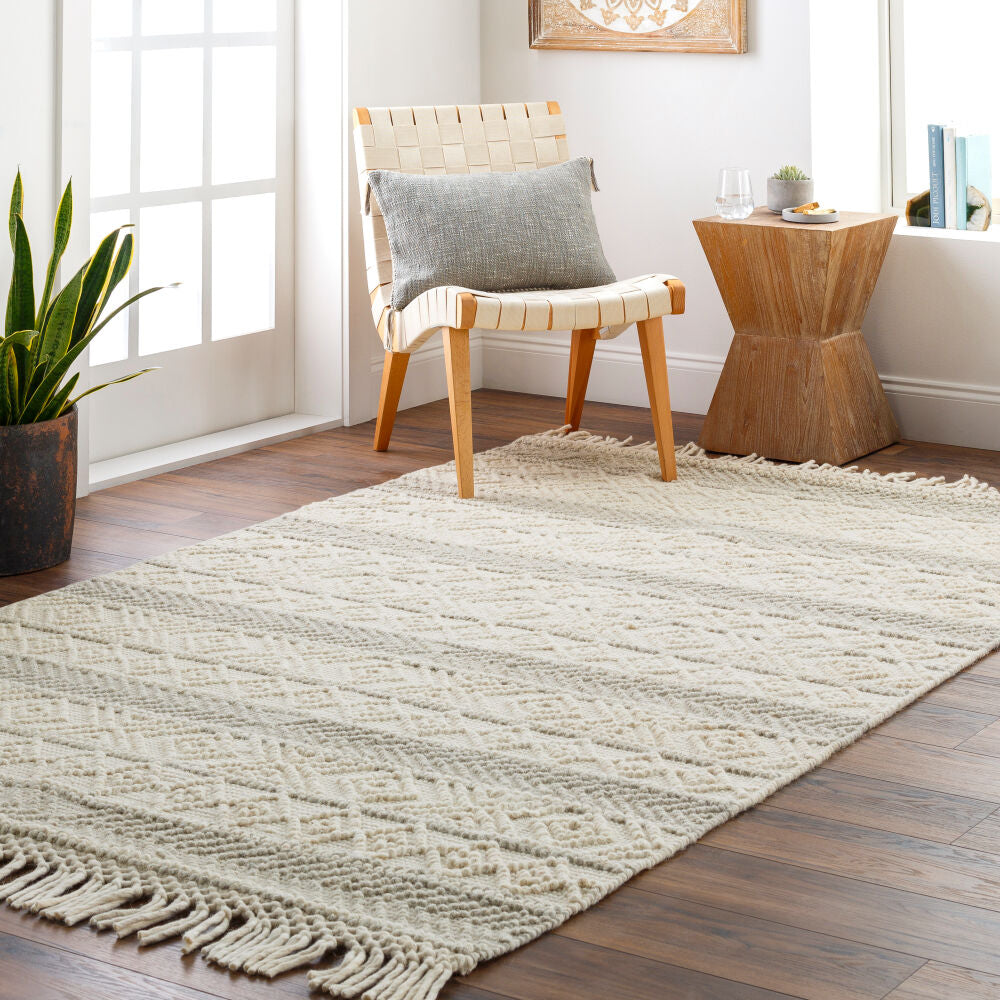 Surya Hemingway HMG-2309 Ivory Cottage Hand Woven Rug