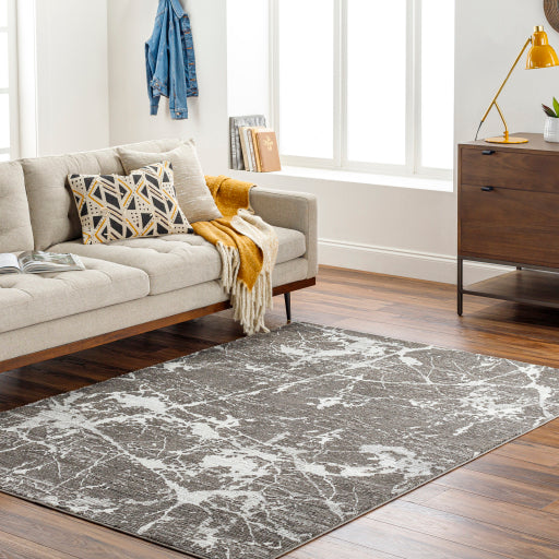 Surya Alder ALD-2312 Gray Modern Machinemade Rug