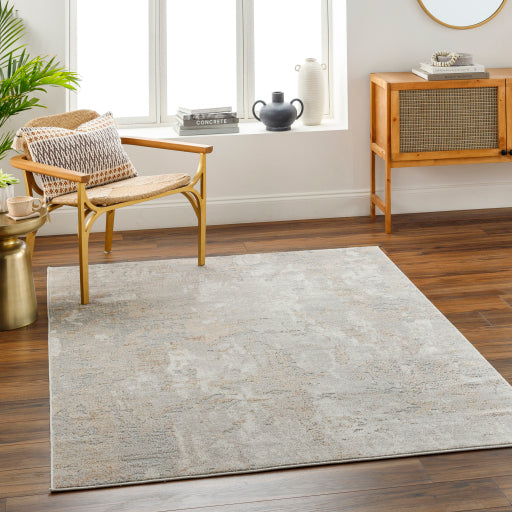Surya Alamo ALO-2311 Tan Modern Machinemade Rug