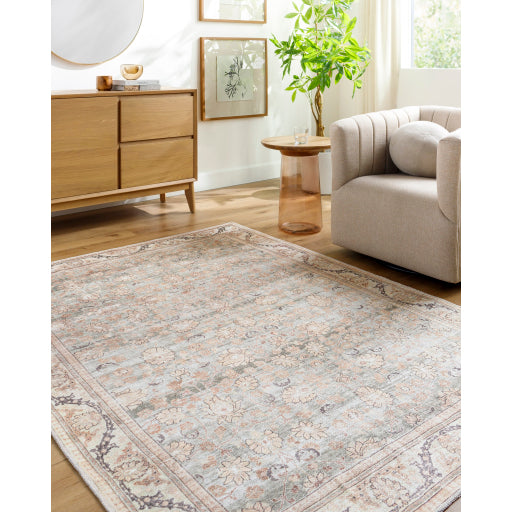 Surya Amelie AML-2398 Seafoam Traditional Machinemade Rug
