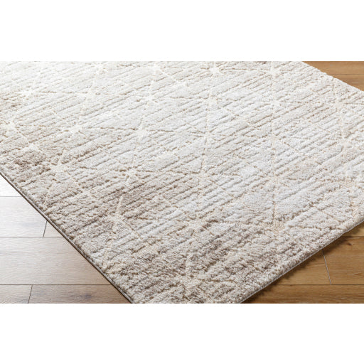 Surya Andorra Plus ARP-2306 Cottage Machinemade Rug