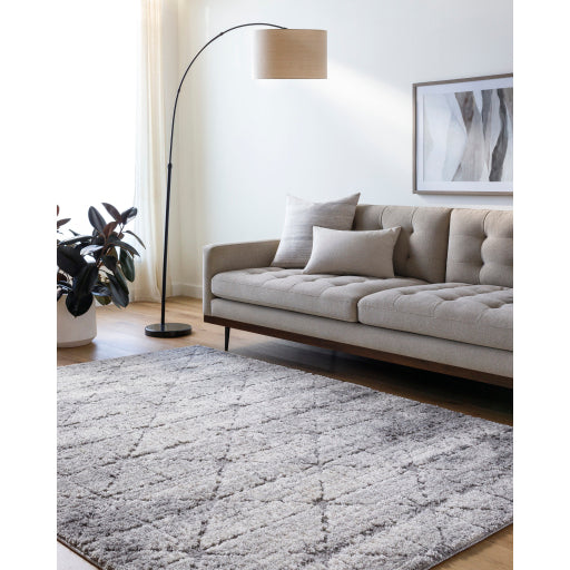 Surya Andorra Plus ARP-2307 Cottage Machinemade Rug