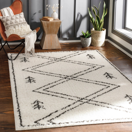 Surya Beni Shag BSH-2315 Black Global Machinemade Rug