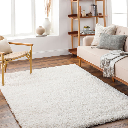 Surya Bogota Shag BTG-2301 Light Gray Modern Machinemade Rug