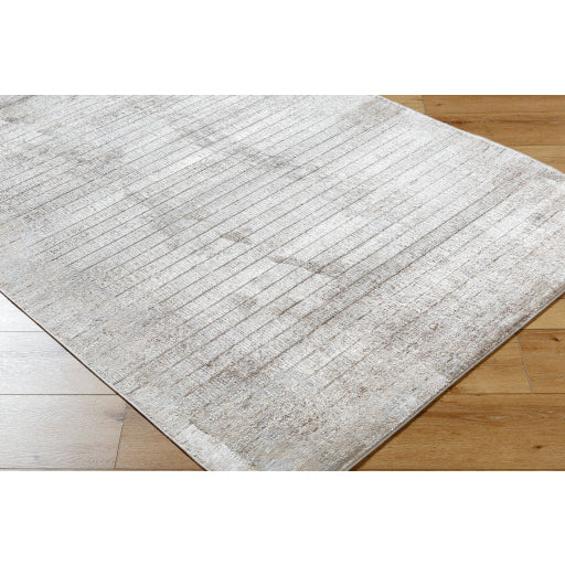 Surya Beyond BYD-2301 Light Beige Rustic Machinemade Rug