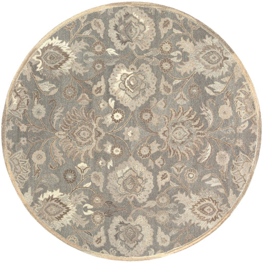 Surya Caesar CAE-1195 Taupe Traditional Tufted Rug