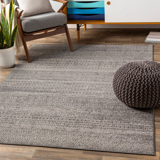 Surya Chester CHE-2304 Charcoal Global Machinemade Rug