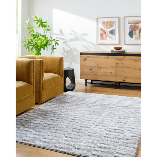 Surya Delight Shag DEL-2301 Global MachineWoven Rug