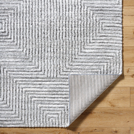 Surya Delight Shag DEL-2309 Global MachineWoven Rug