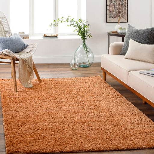 Surya Deluxe Shag DXS-2322 Burnt Orange Modern Machinemade Rug