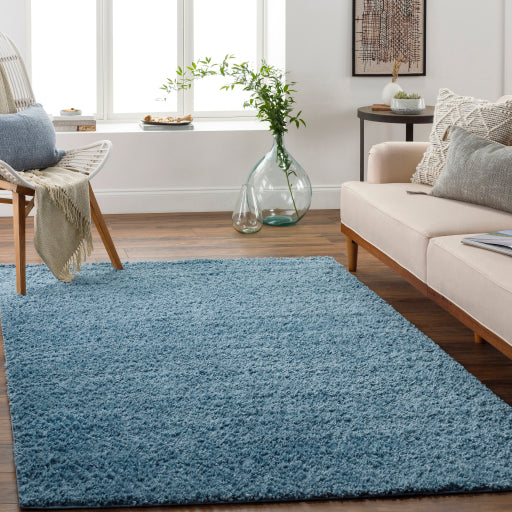 Surya Deluxe Shag DXS-2325 Blue Modern Machinemade Rug