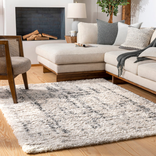 Surya Eskimo Shag ESG-2306 Light Beige Modern Machinemade Rug