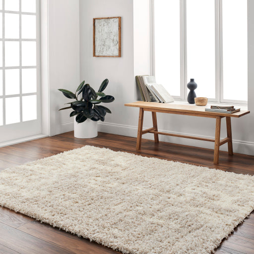 Surya Everton Plus EVP-2311 Ivory Modern Machinemade Rug
