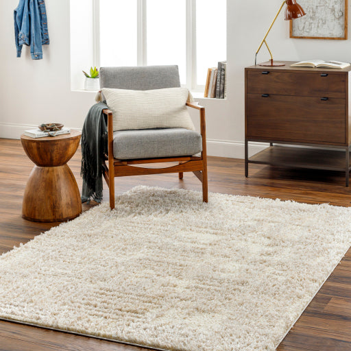Surya Everton Plus EVP-2319 Ivory Modern Machinemade Rug