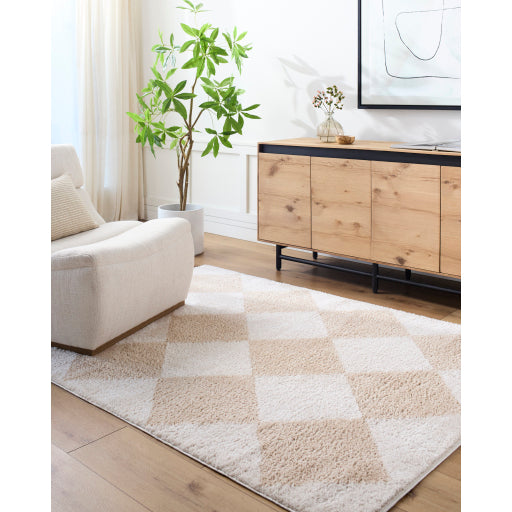 Surya Fossay Shag FSG-2324 Light Beige Modern Machinemade Rug