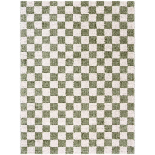 Surya Fossay Shag FSG-2330 Light Beige Modern Machinemade Rug