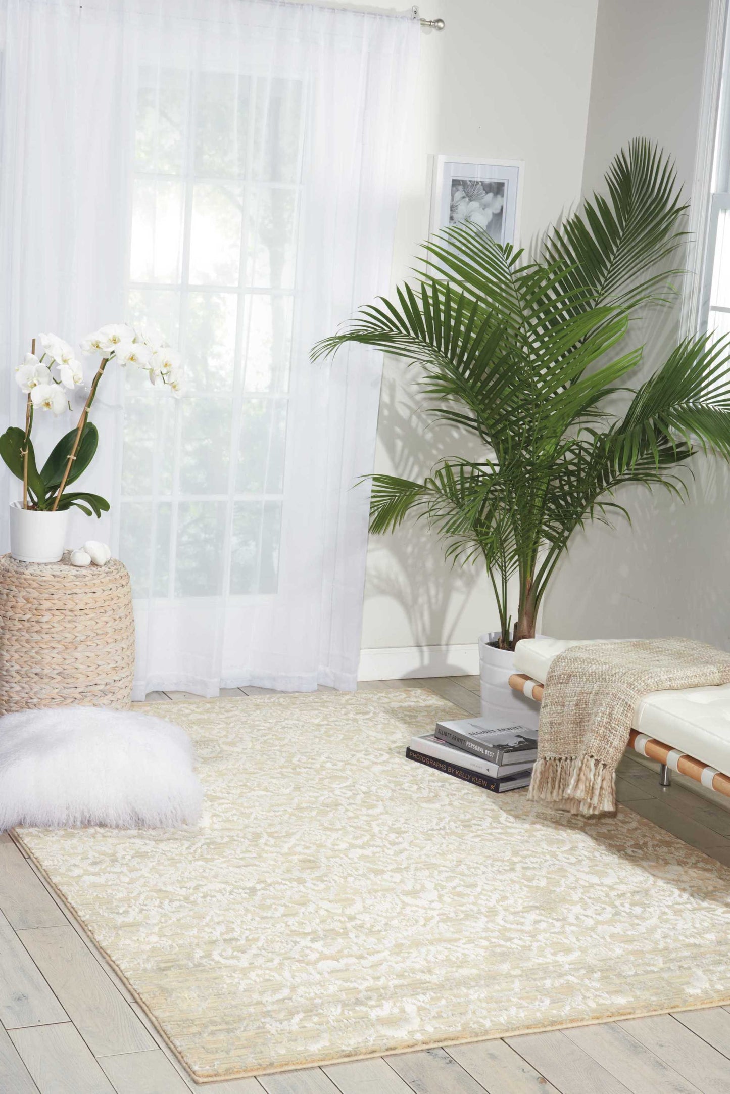 Nourison Home Nepal Sand Transitional