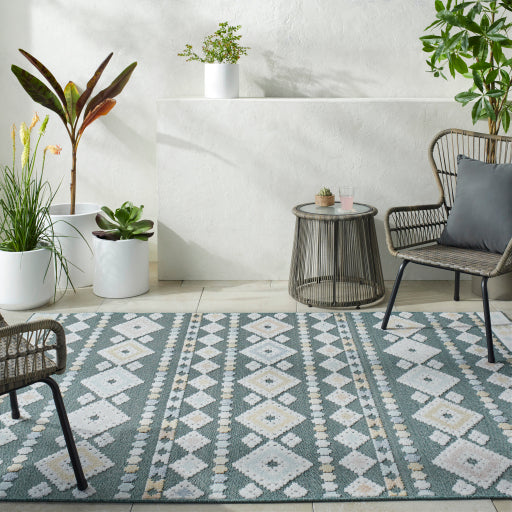 Surya Lakeside LKD-2316 Medium Green Coastal Rug