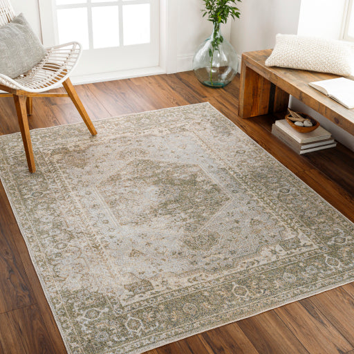 Surya Lillian LLL-2308 Gray Traditional Rug