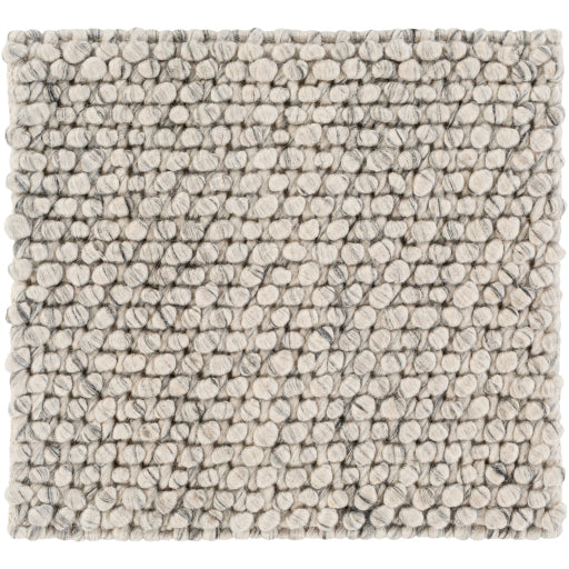 Surya Lucerne LNE-1001 Charcoal Modern Rug