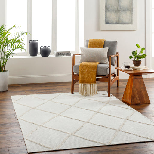 Surya Lyna LYA-2303 White Global Rug