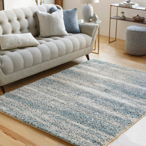 Surya Lyra Shag LYR-2300 Blue Modern Rug