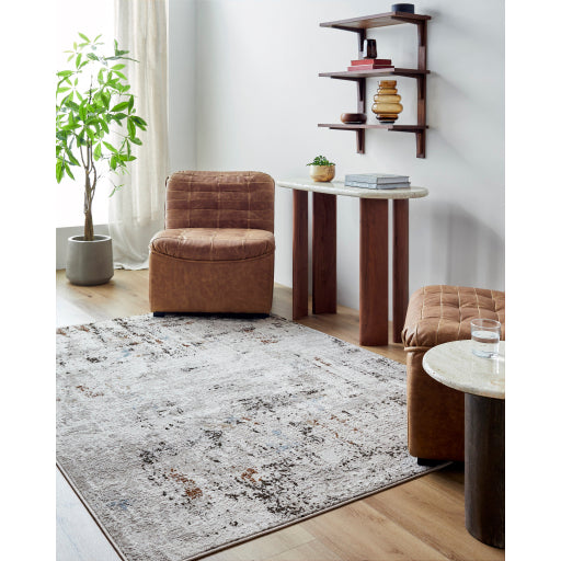 Surya Mood MDD-2331 Taupe Rustic Rug