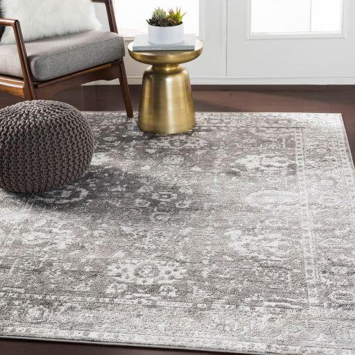 Surya Monte Carlo MNC-2311 Light Gray Traditional Rug