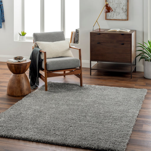 Surya Moda Shag MOG-2304 Gray Modern Rug