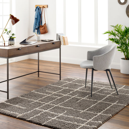 Surya Maryland Shag MSG-2305 Medium Gray Modern Rug