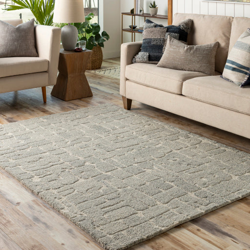 Surya Madelyn MYN-2306 Light Beige Modern Rug