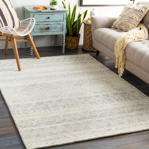 Surya Newcastle NCS-2312 Seafoam Global Rug