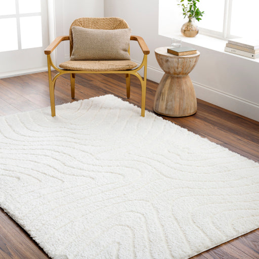 Surya Nomadic NMC-2315 Ivory Modern Rug