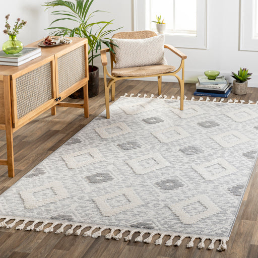 Surya Nora NOA-2303 Cream Rustic Rug