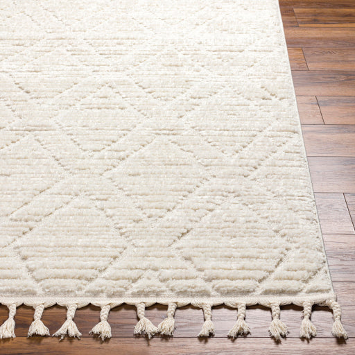 Surya Nora NOA-2308 Light Gray Global Rug