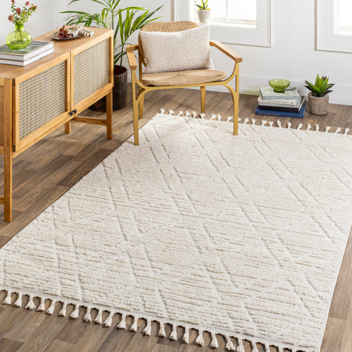 Surya Nora NOA-2308 Light Gray Global Rug