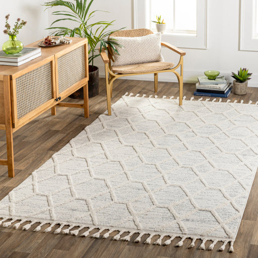 Surya Nora NOA-2311 Light Gray Modern Rug